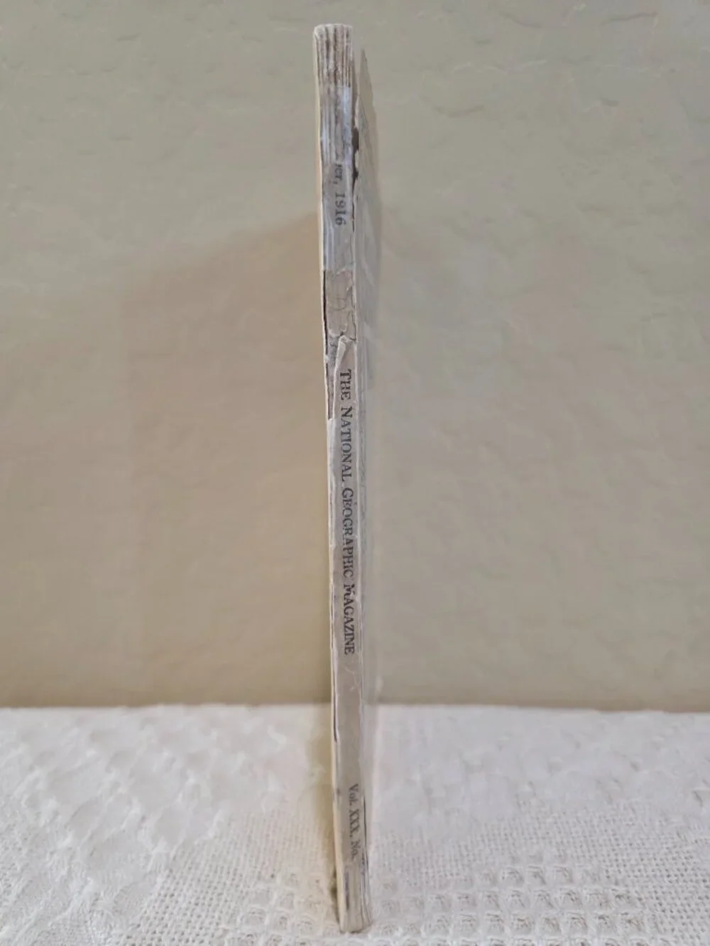 1916 National Geographic November Larger North American Mammals Vol 30 No 5